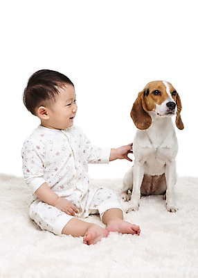 포토 JPG 스튜디오촬영 전신 동물 한마리 남자 어린이라이프 반려견 실내 한명 미소 웃음 누끼 사람 앉기 동양인 앞모습 반려동물 카펫 한국인 매트 아기 개 강아지 비글 소통 반려 남자만 남자한명만 아기만 남자아기만 남자아기한명만 국내포토 1 라이프스타일 어린이 뷰포인트 컨셉 포유류 모션 표정 인종 내부 파일형식