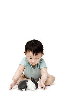 포토 JPG 스튜디오촬영 전신 동물 한마리 남자 어린이라이프 실내 한명 누끼 사람 앉기 동양인 앞모습 반려동물 한국인 아기 토끼 잡기 호기심 소통 반려 남자만 남자한명만 아기만 남자아기만 남자아기한명만 국내포토 1 라이프스타일 감정 어린이 뷰포인트 컨셉 포유류 모션 인종 내부 파일형식