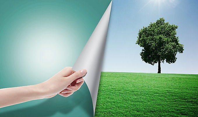 PSD 나무 식물 편집 편집이미지 손 종이 자연 한그루 한명 풍경 잔디 초원 신체부위 초록색 환경 당기기 언덕 에코 말린_둥글게 그린슈머 이미지편집 1 컬러 컨셉 모션 사람 생태계 파일형식