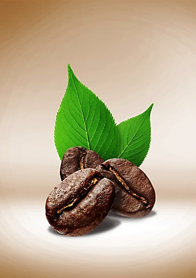 PSD 식물 편집 편집이미지 커피 음료 음식 백그라운드 잎 재료 나뭇잎 콩 근접촬영 사람없음 원두 차 낟알 원료 이미지편집 뷰포인트 곡류 파일형식