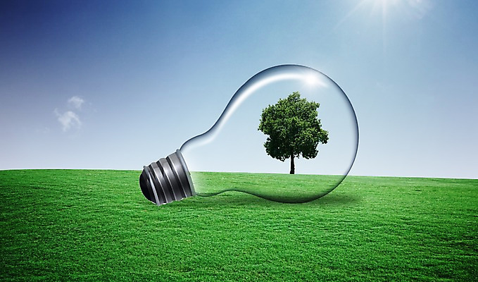 PSD 나무 식물 편집이미지 캠페인 전구 자연 전등 그림자 잔디 초원 사람없음 햇빛 자연보호 환경 그린캠페인 그린에너지 보호 백열등 실내등 이미지편집 컨셉 조명 태양 에너지 생태계 파일형식