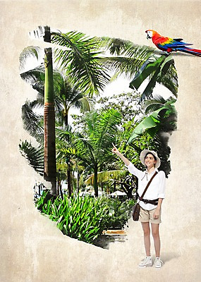 전신 PSD 서양인 외국인 나무 식물 백인 편집 편집이미지 해외풍경 여자 여행 한명 사람 성인 앞모습 야자수 도전 가리킴 숲 열대우림 사파리 앵무새 여자만 여자한명만 성인여자만 성인만 이미지편집 1 해외 뷰포인트 조류 인종 풍경 손짓 파일형식