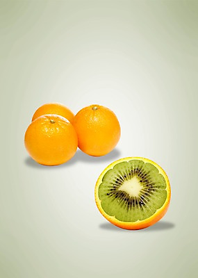 PSD 편집 편집이미지 웰빙 백그라운드 오렌지 과일 키위 사람없음 껍질 신선 유기농 슬라이스 이미지편집 파일형식