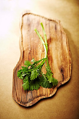 포토 JPG 스튜디오촬영 식기 접시 웰빙 음식 백그라운드 채소 식재료 쟁반 실내 근접촬영 사람없음 아웃포커스 농작물 친환경 유기농 치커리 국내포토 뷰포인트 농업 촬영기법 내부 환경 파일형식