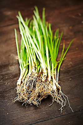 포토 JPG 스튜디오촬영 웰빙 음식 백그라운드 채소 식재료 탁자 실내 근접촬영 사람없음 아웃포커스 농작물 친환경 유기농 파 쪽파 국내포토 뷰포인트 가구 농업 촬영기법 내부 환경 파일형식