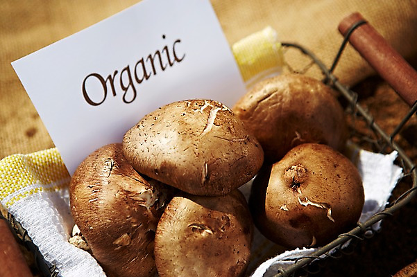 포토 JPG 스튜디오촬영 웰빙 알파벳 영어 종이 음식 백그라운드 채소 식재료 실내 근접촬영 사람없음 아웃포커스 단어 농작물 바구니 버섯 친환경 유기농 표고버섯 국내포토 카드프레임 문자 뷰포인트 농업 프레임 촬영기법 내부 환경 파일형식