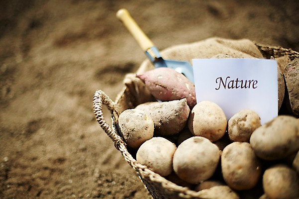 포토 JPG 주간 웰빙 알파벳 영어 종이 음식 백그라운드 밭 채소 식재료 감자 근접촬영 사람없음 야외 아웃포커스 단어 농작물 농장 쌓기 바구니 흙 모종삽 삽 친환경 유기농 고구마 국내포토 카드프레임 자연요소 문자 뷰포인트 농업 모션 뿌리채소 프레임 촬영기법 환경 파일형식