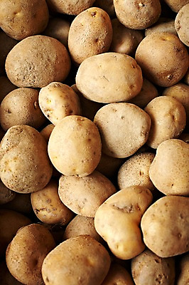 포토 JPG 웰빙 음식 백그라운드 채소 식재료 감자 사람없음 농작물 쌓기 친환경 유기농 국내포토 농업 모션 환경 파일형식