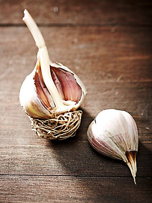 포토 JPG 스튜디오촬영 웰빙 음식 백그라운드 채소 식재료 탁자 실내 마늘 근접촬영 사람없음 아웃포커스 농작물 친환경 유기농 국내포토 뷰포인트 가구 농업 촬영기법 내부 환경 파일형식