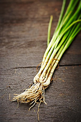 포토 JPG 스튜디오촬영 웰빙 음식 백그라운드 채소 식재료 탁자 실내 근접촬영 사람없음 아웃포커스 농작물 친환경 유기농 파 쪽파 국내포토 뷰포인트 가구 농업 촬영기법 내부 환경 파일형식