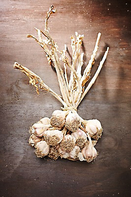 포토 JPG 스튜디오촬영 웰빙 음식 백그라운드 채소 식재료 탁자 실내 마늘 근접촬영 사람없음 아웃포커스 농작물 다발 묶기 친환경 유기농 국내포토 뷰포인트 가구 농업 모션 촬영기법 내부 환경 파일형식