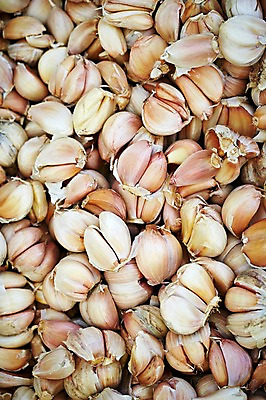 포토 JPG 웰빙 음식 백그라운드 채소 식재료 마늘 근접촬영 사람없음 아웃포커스 농작물 쌓기 친환경 유기농 국내포토 뷰포인트 농업 모션 촬영기법 환경 파일형식