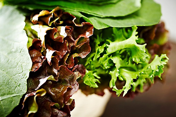 포토 JPG 웰빙 음식 백그라운드 채소 식재료 근접촬영 사람없음 아웃포커스 농작물 상추 친환경 유기농 쌈 치커리 국내포토 뷰포인트 농업 촬영기법 환경 파일형식