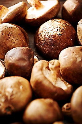 포토 JPG 스튜디오촬영 웰빙 음식 백그라운드 채소 식재료 탁자 실내 근접촬영 사람없음 아웃포커스 농작물 버섯 친환경 유기농 표고버섯 국내포토 뷰포인트 가구 농업 촬영기법 내부 환경 파일형식