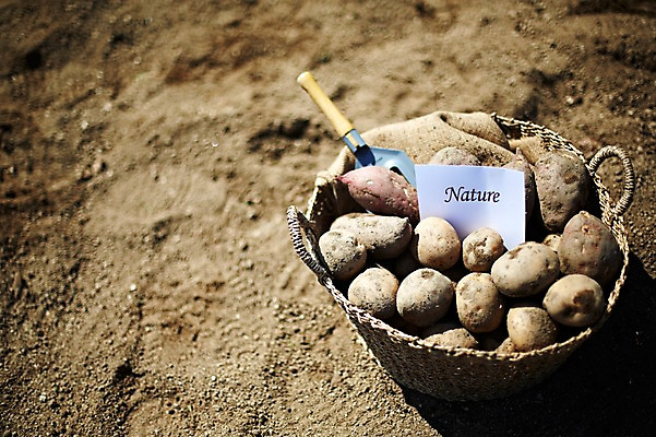 포토 JPG 주간 웰빙 알파벳 영어 종이 음식 백그라운드 밭 채소 식재료 감자 근접촬영 사람없음 야외 아웃포커스 단어 농작물 농장 바구니 흙 모종삽 삽 친환경 유기농 고구마 국내포토 카드프레임 자연요소 문자 뷰포인트 농업 뿌리채소 프레임 촬영기법 환경 파일형식