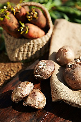 포토 JPG 주간 웰빙 음식 백그라운드 채소 식재료 도마 근접촬영 사람없음 야외 아웃포커스 농작물 바구니 버섯 당근 친환경 유기농 표고버섯 포대 국내포토 자연요소 뷰포인트 농업 주방용품 뿌리채소 촬영기법 환경 파일형식