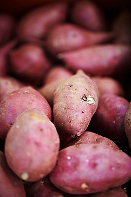 포토 JPG 웰빙 음식 백그라운드 채소 식재료 근접촬영 사람없음 아웃포커스 농작물 쌓기 친환경 유기농 고구마 국내포토 뷰포인트 농업 모션 뿌리채소 촬영기법 환경 파일형식