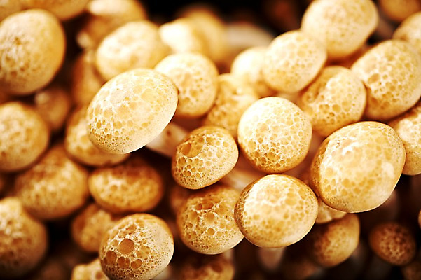 포토 JPG 웰빙 음식 백그라운드 채소 식재료 근접촬영 사람없음 아웃포커스 농작물 버섯 친환경 유기농 팽이버섯 국내포토 뷰포인트 농업 촬영기법 환경 파일형식