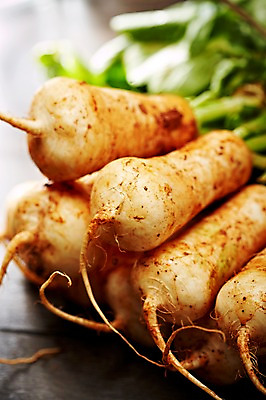 포토 JPG 주간 웰빙 음식 백그라운드 채소 식재료 탁자 근접촬영 사람없음 야외 아웃포커스 농작물 무 친환경 유기농 총각무 국내포토 자연요소 뷰포인트 가구 농업 뿌리채소 촬영기법 환경 파일형식