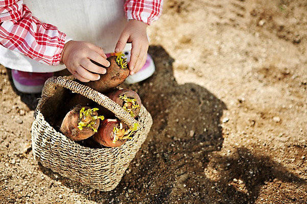 포토 JPG 주간 손 웰빙 음식 배경화면 백그라운드 밭 채소 식재료 그림자 한명 근접촬영 야외 아웃포커스 신체부위 농작물 농장 바구니 흙 당근 양손 아기 잡기 친환경 유기농 아기만 국내포토 자연요소 1 뷰포인트 농업 모션 뿌리채소 촬영기법 사람 환경 파일형식
