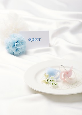 포토 JPG 스튜디오촬영 식물 그릇 식기 접시 알파벳 영어 잡화 꽃 종이 생활용품 백그라운드 대문자 실내 근접촬영 사람없음 아웃포커스 단어 장난감 놀이용품 아기용품 실크 천 노리개젖꼭지 오브젝트 코사지 국내포토 카드프레임 문자 뷰포인트 장신구 프레임 촬영기법 내부 직물 파일형식