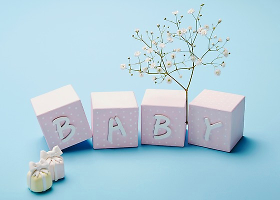 포토 JPG 스튜디오촬영 식물 알파벳 영어 잡화 꽃 컬러 배경화면 생활용품 백그라운드 대문자 실내 선물 근접촬영 사람없음 아웃포커스 파란색 단어 선물상자 상자 장난감 놀이용품 블록 아기용품 나뭇가지 오브젝트 안개꽃 국내포토 나무 문자 뷰포인트 촬영기법 내부 한해살이풀 파일형식