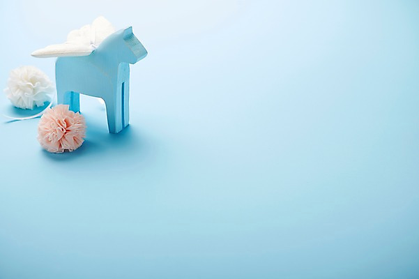 포토 JPG 스튜디오촬영 잡화 컬러 배경화면 생활용품 백그라운드 날개 실내 근접촬영 사람없음 아웃포커스 장식 파란색 장난감 놀이용품 아기용품 말_동물 오브젝트 코사지 국내포토 뷰포인트 장신구 포유류 촬영기법 내부 파일형식