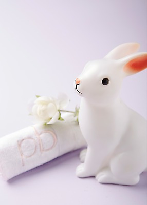 포토 JPG 스튜디오촬영 식물 잡화 꽃 인형 컬러 생활용품 백그라운드 한송이 실내 근접촬영 사람없음 아웃포커스 수건 장난감 놀이용품 보라색 아기용품 토끼 오브젝트 반려 국내포토 1 뷰포인트 포유류 촬영기법 내부 반려동물 위생용품 송이 파일형식