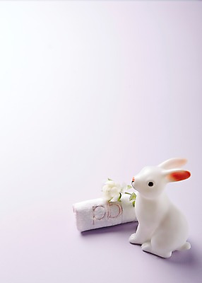 포토 JPG 스튜디오촬영 식물 잡화 꽃 인형 컬러 생활용품 백그라운드 한송이 실내 근접촬영 사람없음 아웃포커스 수건 장난감 놀이용품 보라색 아기용품 토끼 오브젝트 반려 국내포토 1 뷰포인트 포유류 촬영기법 내부 반려동물 위생용품 송이 파일형식