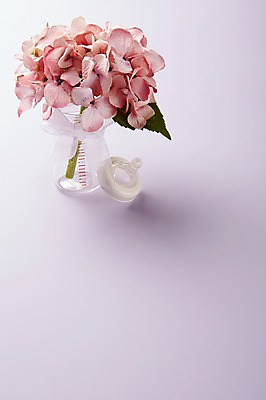 포토 JPG 스튜디오촬영 식물 잡화 꽃 컬러 꽃다발 생활용품 백그라운드 실내 근접촬영 사람없음 놀이용품 보라색 아기용품 우유병 젖병 병 오브젝트 국내포토 식기 뷰포인트 병_용기 내부 우유 파일형식