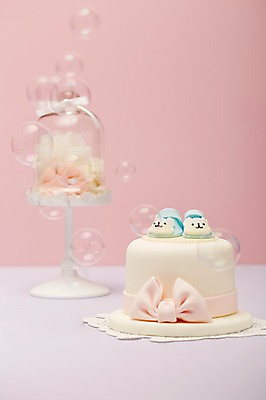 포토 JPG 스튜디오촬영 그릇 식기 음식 분홍색 컬러 백그라운드 신발 탁자 실내 근접촬영 사람없음 아웃포커스 케이크 아기용품 비눗방울 오브젝트 아기신발 국내포토 뷰포인트 가구 디저트 촬영기법 내부 파일형식