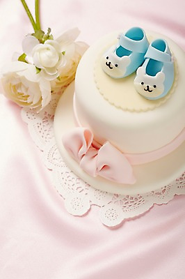 포토 JPG 스튜디오촬영 식물 잡화 꽃 분홍색 컬러 생활용품 백그라운드 신발 실내 근접촬영 사람없음 아웃포커스 놀이용품 케이크 아기용품 실크 천 오브젝트 아기신발 국내포토 뷰포인트 디저트 촬영기법 내부 직물 파일형식