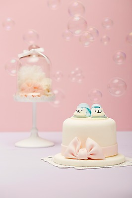 포토 JPG 스튜디오촬영 그릇 식기 잡화 음식 분홍색 컬러 생활용품 백그라운드 실내 근접촬영 사람없음 아웃포커스 놀이용품 케이크 아기용품 비눗방울 오브젝트 아기신발 국내포토 뷰포인트 신발 디저트 촬영기법 내부 파일형식