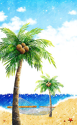 PSD 나무 식물 구름 계절 바다 백그라운드 일러스트 자연 하늘 불가사리 풍경 해변 사람없음 여름 모래사장 야자수 여름풍경 침대 시원함 해먹 국내일러스트 자연요소 가구 극피동물 생태계 파일형식 여름_계절