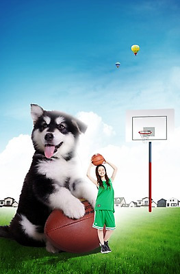 PSD 외국인 동물 구름 편집 편집이미지 한마리 여자 반려견 스포츠 공 포유류 청소년 하늘 주택 농구 농구공 사랑 한명 서기 미소 웃음 들기 사람 동양인 잔디 건물 앞모습 10대 반려동물 운동복 운동 열기구 개 강아지 보호 골대 럭비공 머리위 농구대 알래스칸말라뮤트 동물보호 반려 여자만 여자한명만 십대만 십대여자만 십대여자한명만 이미지편집 자연요소 식물 1 건축물 옷 감정 뷰포인트 컨셉 항공교통 모션 표정 건강 인종 구기 사회이슈 럭비용품 파일형식