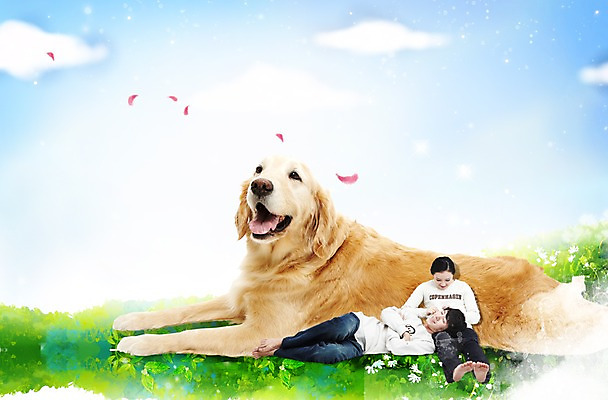 PSD 식물 동물 구름 편집 편집이미지 한마리 라이프스타일 커플 여자 남자 꽃잎 꽃 반려견 포유류 하늘 휴식 나뭇잎 사랑 미소 웃음 사람 앉기 동양인 초원 20대 성인 두명 캐주얼 반려동물 눕기 한국인 개 리트리버 강아지 보호 동물보호 반려 청년만 성인만 이미지편집 자연요소 1 옷 감정 컨셉 잎 관계 모션 표정 인종 청년 생활 사회이슈 파일형식