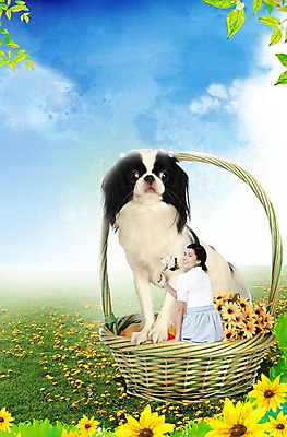 PSD 외국인 식물 동물 구름 편집 편집이미지 한마리 여자 꽃 반려견 포유류 하늘 휴식 나뭇잎 해바라기 사랑 한명 미소 웃음 들기 사람 앉기 잔디 초원 20대 성인 뒷모습 반려동물 소풍 바구니 뒤돌아보기 개 강아지 보호 동물보호 반려 여자만 여자한명만 성인여자만 청년만 청년여자만 성인한명만 청년여자한명만 성인여자한명만 성인만 이미지편집 자연요소 1 감정 뷰포인트 컨셉 잎 모션 표정 인종 청년 야외활동 사회이슈 파일형식