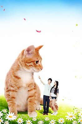 전신 PSD 외국인 식물 동물 편집 편집이미지 한마리 커플 여자 남자 꽃잎 꽃 포유류 사랑 서기 미소 웃음 사람 앉기 동양인 손짓 초원 20대 성인 두명 캐주얼 반려동물 중국인 마주보기 손잡기 고양이 가리킴 보호 동물보호 반려 청년만 성인만 이미지편집 1 옷 감정 컨셉 관계 모션 표정 인종 청년 사회이슈 파일형식