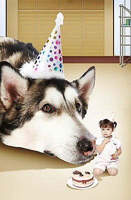 전신 PSD 서양인 외국인 동물 백인 편집 편집이미지 모자 한마리 라이프스타일 여자 반려견 음식 엎드리기 포유류 사랑 한명 사람 앉기 반려동물 파티 케이크 아기 생일파티 생일 개 강아지 보호 생일케이크 동물보호 반려 여자만 여자한명만 아기만 여자아기만 여자아기한명만 이미지편집 1 잡화 기념일 감정 컨셉 모션 디저트 인종 이벤트 생활 사회이슈 파일형식