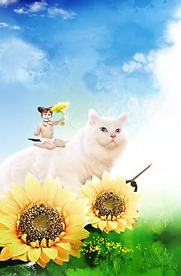 PSD 서양인 외국인 식물 동물 백인 구름 편집 편집이미지 한마리 여자 꽃 포유류 하늘 해바라기 사랑 한명 미소 웃음 사람 앉기 초원 반려동물 고양이 아기 머리띠 보호 동물보호 반려 여자만 여자한명만 아기만 여자아기만 여자아기한명만 이미지편집 자연요소 1 감정 컨셉 장신구 모션 표정 인종 사회이슈 파일형식