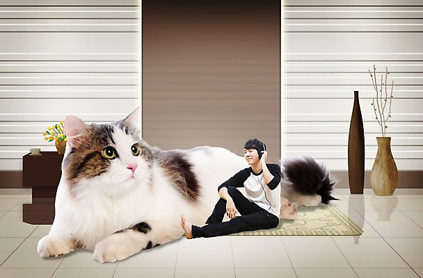 전신 PSD 동물 편집 편집이미지 한마리 라이프스타일 남자 꽃 거실 포유류 휴식 사랑 한명 사람 앉기 동양인 20대 성인 반려동물 꽃병 헤드폰 고양이 카펫 음악감상 한국인 보호 동물보호 반려 남자만 남자한명만 성인남자만 청년만 청년남자만 청년남자한명만 성인한명만 성인남자한명만 성인만 이미지편집 식물 1 감정 음향기기 컨셉 모션 인종 청년 생활 감상 사회이슈 파일형식