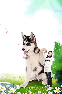 전신 PSD 나무 식물 동물 편집 편집이미지 한마리 라이프스타일 여자 꽃잎 꽃 반려견 포유류 사랑 한명 서기 미소 웃음 사람 동양인 손짓 초원 20대 성인 옆모습 캐주얼 반려동물 한국인 개 강아지 보호 시베리안허스키 하이파이브 동물보호 반려 여자만 여자한명만 성인여자만 청년만 청년여자만 성인한명만 청년여자한명만 성인여자한명만 성인만 이미지편집 1 옷 감정 뷰포인트 컨셉 모션 표정 인종 청년 생활 사회이슈 파일형식