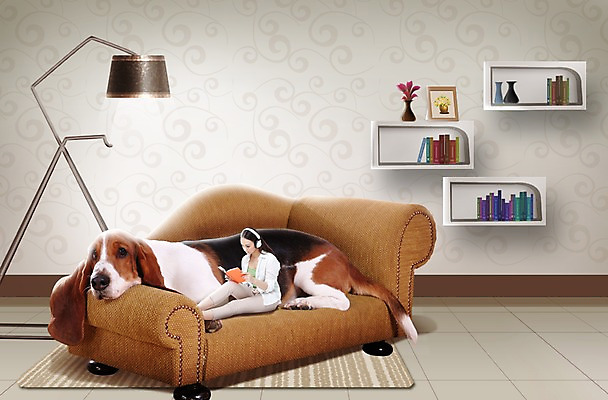 PSD 외국인 동물 편집 편집이미지 한마리 라이프스타일 여자 반려견 액자 거실 휴식 선반 사랑 한명 사람 앉기 동양인 20대 성인 책 반려동물 소파 독서 중국인 꽃병 헤드폰 카펫 음악감상 스탠드 개 강아지 보호 동물보호 반려 여자만 여자한명만 성인여자만 청년만 청년여자만 성인한명만 청년여자한명만 성인여자한명만 성인만 이미지편집 1 꽃 감정 음향기기 가구 컨셉 의자 포유류 모션 조명 인종 청년 생활 감상 사회이슈 파일형식