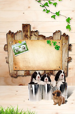 PSD 동물 편집 편집이미지 척추동물 육지동물 반려견 엎드리기 벽 잎 여러마리 포유류 프레임 알림판 벽면 앉기 사람없음 목재 반려동물 귀여움 팻말 스패니얼 캔 말티즈 개 강아지 보호 페키니즈 페인트통 아이비 동물보호 잉글리시스프링어스패니얼 기념사진 반려 이미지편집 나무 식물 다수 컨셉 재료 모션 통 페인트 사회이슈 파일형식