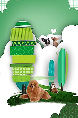 모양 PSD 나무 동물 편집 편집이미지 척추동물 육지동물 반려견 엎드리기 무늬 패턴 여러마리 포유류 포토일러 앉기 초원 사람없음 반려동물 귀여움 개 강아지 시츄 보호 푸들 동물보호 치와와 반려 보스턴테리어 이미지편집 식물 다수 컨셉 모션 테리어 사회이슈 파일형식