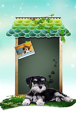 PSD 동물 템플릿 편집 편집이미지 척추동물 육지동물 반려견 엎드리기 잎 두마리 포유류 포토일러 지붕 프레임 앉기 초원 사람없음 반려동물 귀여움 사각형 칠판 개 강아지 보호 슈나우저 발자국 비글 아이비 동물보호 개집 기념사진 반려 이미지편집 도형 식물 컨셉 2 자국 모션 사회이슈 애견용품 파일형식