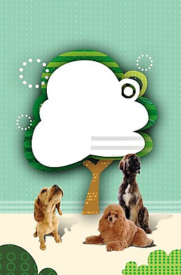 PSD 나무 동물 템플릿 편집 편집이미지 척추동물 육지동물 반려견 엎드리기 포유류 포토일러 프레임 알림판 세마리 앉기 사람없음 반려동물 귀여움 코커스패니얼 개 강아지 보호 푸들 동물보호 아프간하운드 반려 이미지편집 식물 컨셉 모션 3 스패니얼 사회이슈 하운드 파일형식