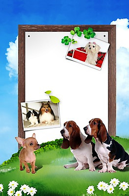 PSD 동물 구름 편집 편집이미지 척추동물 육지동물 꽃 반려견 엎드리기 여러마리 포유류 하늘 프레임 알림판 앉기 잔디 초원 사람없음 반려동물 귀여움 칠판 팻말 들꽃 흰색 말티즈 개 강아지 클로버 보호 바셋하운드 동물보호 치와와 재퍼니스친 기념사진 반려 셔틀랜드쉽독 이미지편집 자연요소 식물 컬러 다수 컨셉 모션 사회이슈 하운드 파일형식