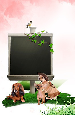 PSD 동물 편집 편집이미지 척추동물 모자 한마리 육지동물 반려견 엎드리기 잎 포유류 조류 나뭇잎 프레임 알림판 세마리 앉기 잔디 초원 사람없음 반려동물 귀여움 팻말 카우보이 개 강아지 보호 덩굴 닥스훈트 아이비 동물보호 치와와 강아지옷 반려 이미지편집 식물 1 잡화 컨셉 모션 3 사회이슈 애견용품 파일형식