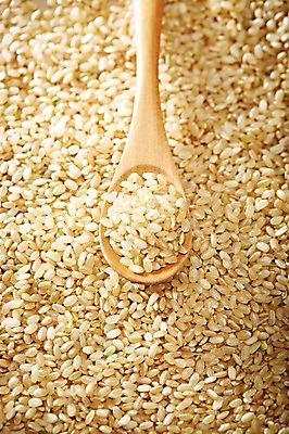 포토 JPG 스튜디오촬영 식기 음식 다수 백그라운드 식재료 곡류 수저 실내 근접촬영 사람없음 아웃포커스 농작물 숟가락 여러개 낟알 담기 알맹이 잡곡 현미 국내포토 뷰포인트 농업 모션 촬영기법 내부 파일형식